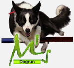 Dogrun M's
